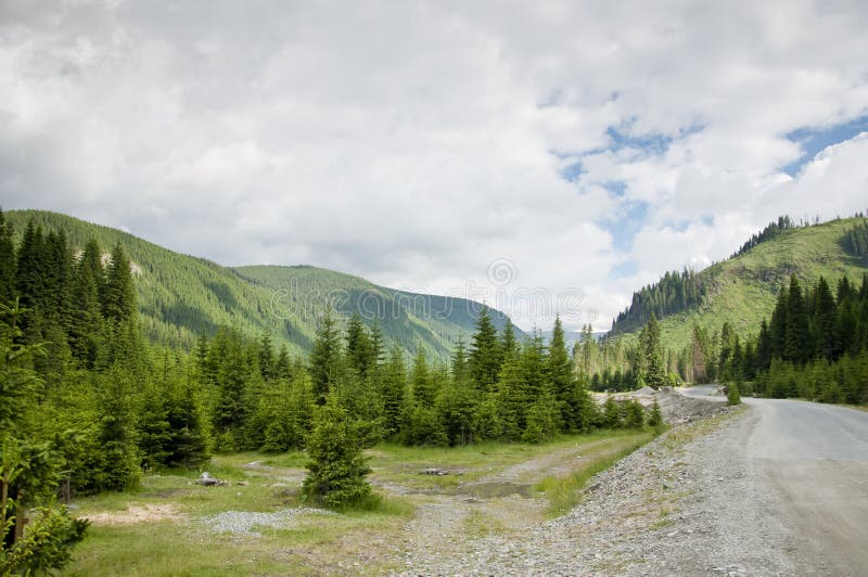 Beautiful green mountain landscape in Romania