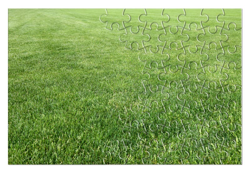 Beautiful Green Mowed Lawn in Jigsaw Puzzle Shape Concept Image Stock