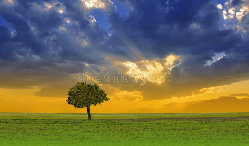 Beautiful Green Nature  Sunset  Sky   , Colors Stock Image - Image of beginning,  elegance: 233484163
