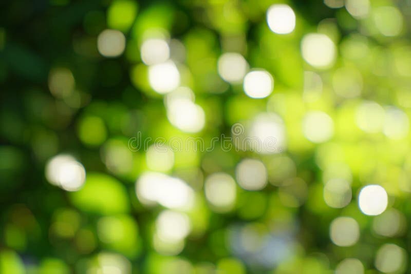 Green Nature Bokeh Background Stock Photo - Image of sunshine, natural:  115510536