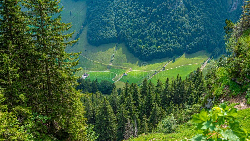 Beautiful Green Nature In The Swiss Alps Amazing Switzerland Stock Photo Image Of Travel Beautiful Green Nature In The Swiss Alps Amazing Switzerland Stock Photo Image Of Travel