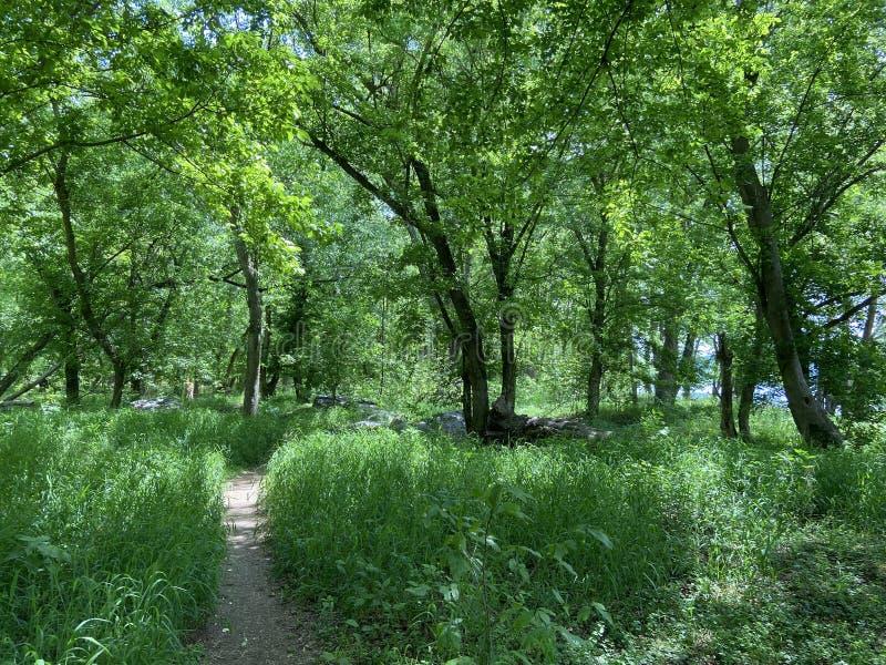 Beautiful Green Spring Landscape in May Stock Photo - Image of trees ...