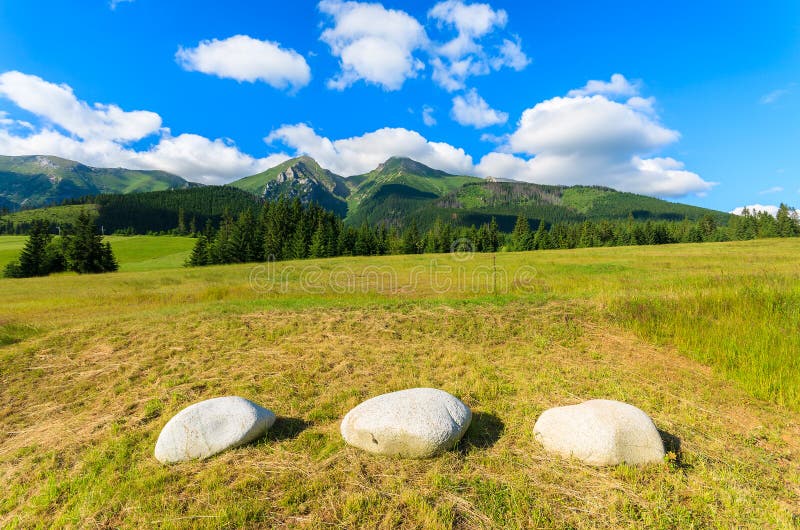 Beautiful green summer landscape of Tatra Mountains in Zdiar village, Slovakia