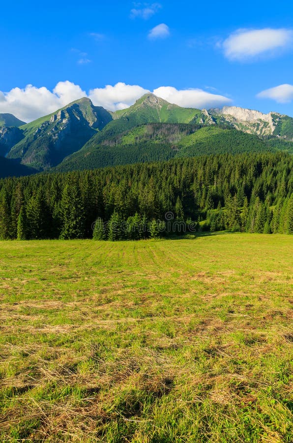 Beautiful green summer landscape of Tatra Mountains in Zdiar village, Slovakia