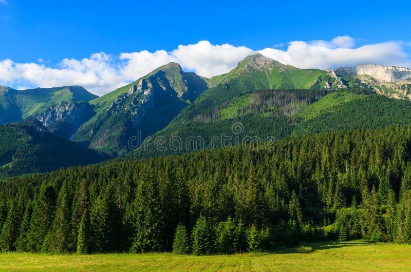 Beautiful green summer landscape of Tatra Mountains in Zdiar village, Slovakia