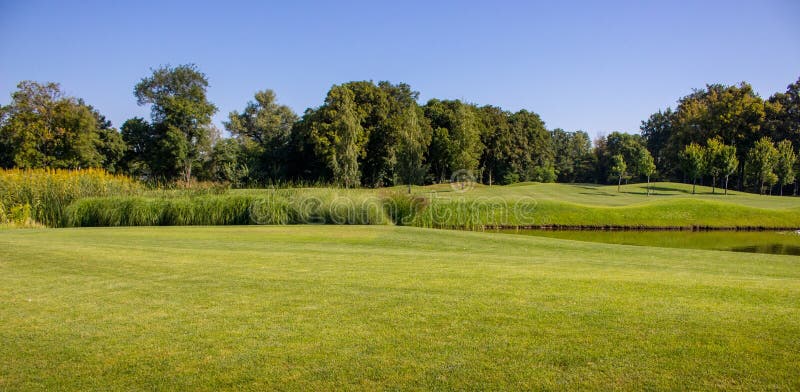 Beautiful green summer lane with pond and trees against clear blue sky. Spring and summer park landscape. Golf field with lake.