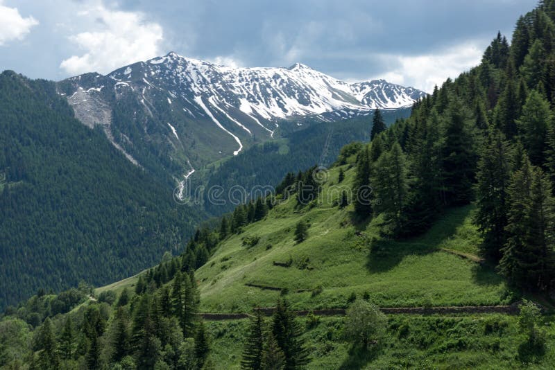 Beautiful green valley with covered snow mountain peaks