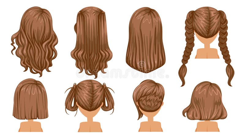 Brown hair stock vector. Illustration of braided, design - 97870958 Brown hair stock vector. Illustration of braided, design - 97870958
