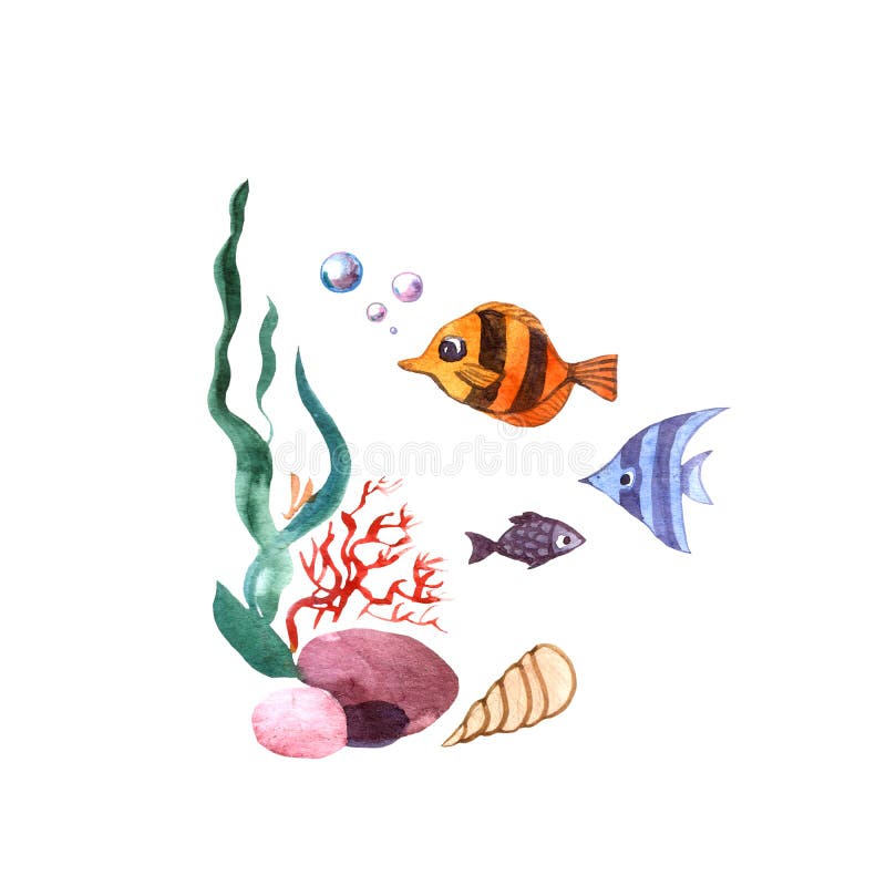 Beautiful Hand Drawn Illustration Seaweed and Fish. Stock Illustration ...