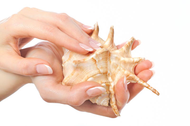 Beautiful hand with french manicure and shell