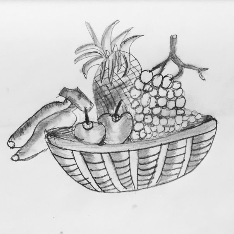 Single one line drawing of a basket full fruit Vector Image