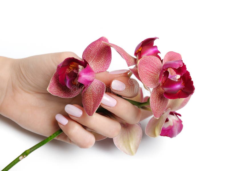 Beautiful hand with nail manicure and orchid