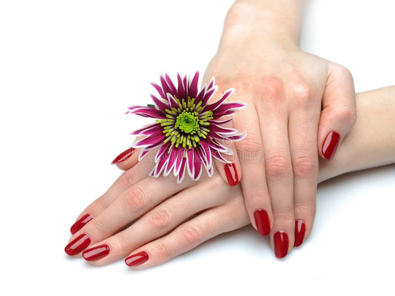 Beautiful hand with perfect nail red manicure