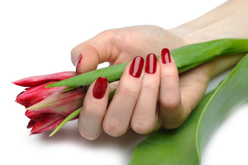 Beautiful hand with red manicure and tulip