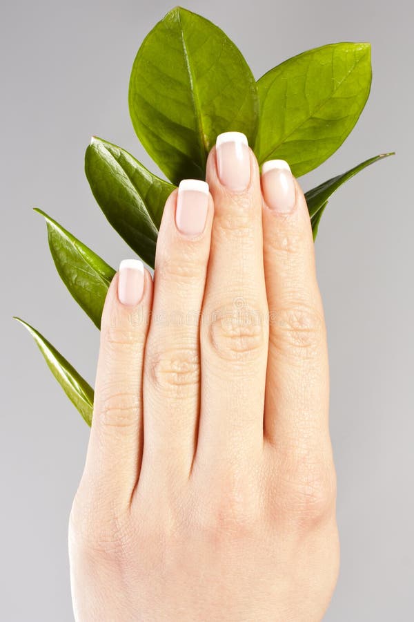 Beautiful hands with French manicure nails.