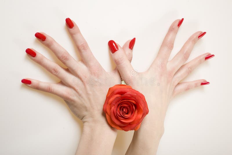 Beautiful hands with perfect red manicure