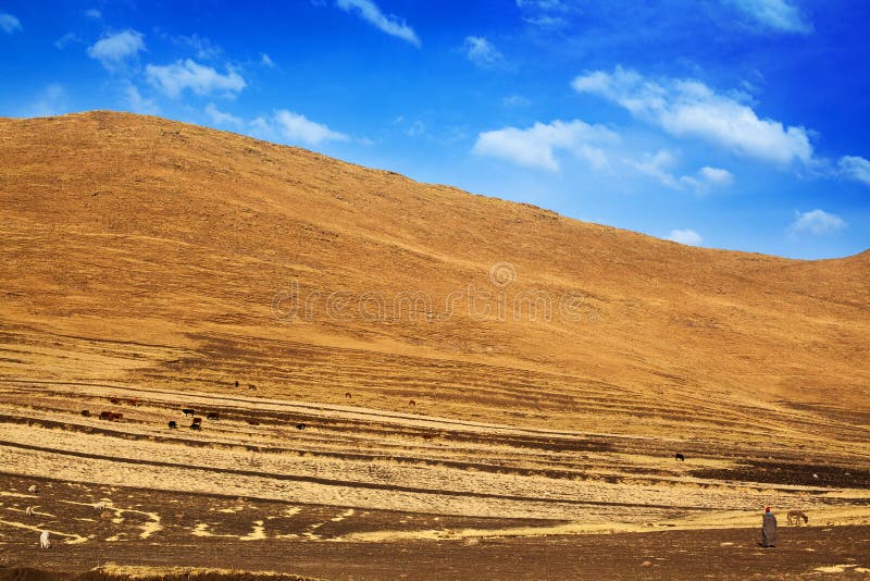 Beautiful highland valley landscape Drakensberg mountains, shepherd and animals herd on pasture, Lesotho, Southern Africa travel