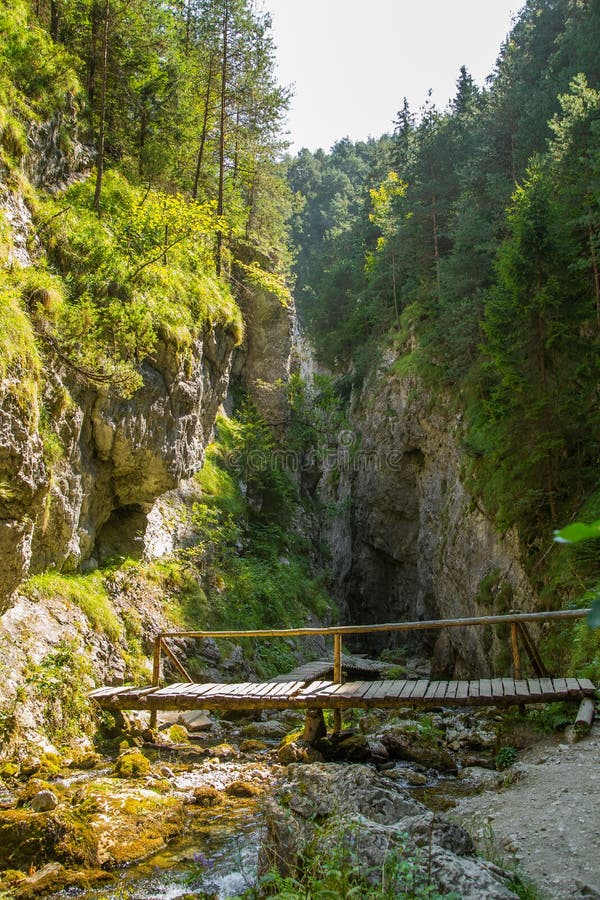 Krásná turistická stezka v regionu Nízké Tatry na Slovensku. Pěší cesta v horách a lese.