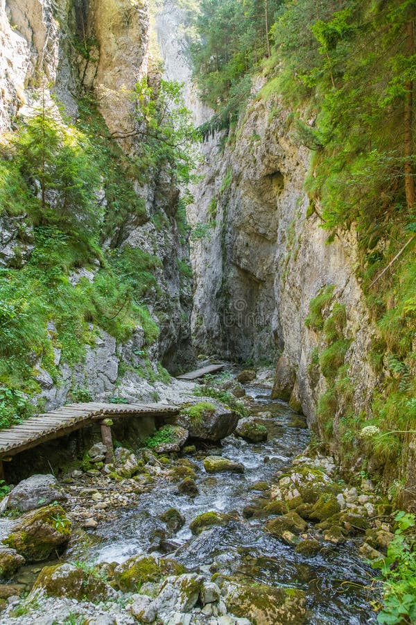 Krásná turistická stezka v regionu Nízké Tatry na Slovensku. Pěší cesta v horách a lese.