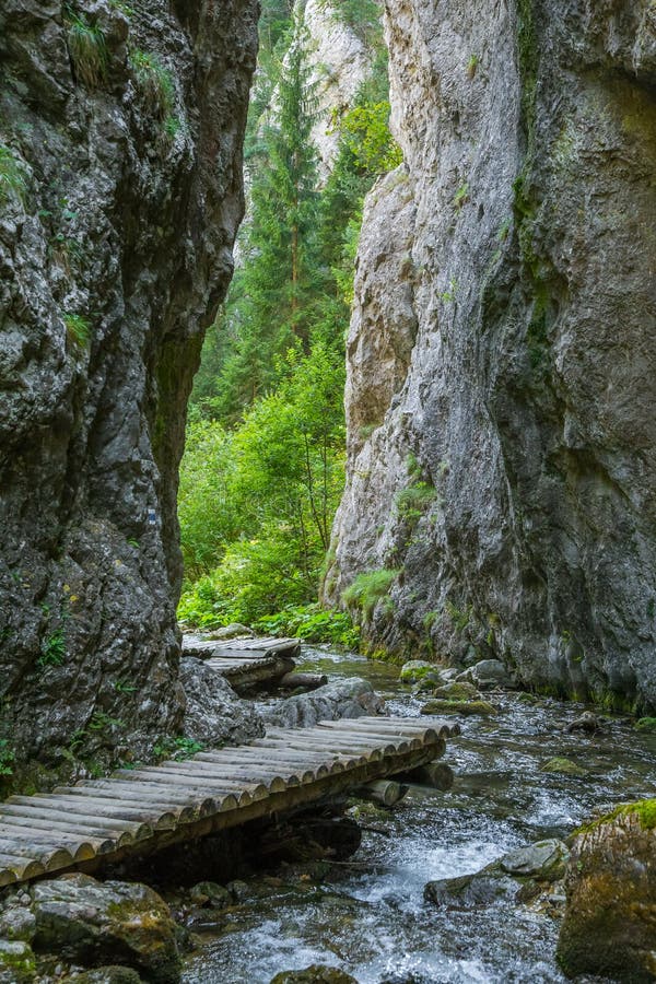 Krásná turistická stezka v regionu Nízké Tatry na Slovensku. Pěší cesta v horách a lese.