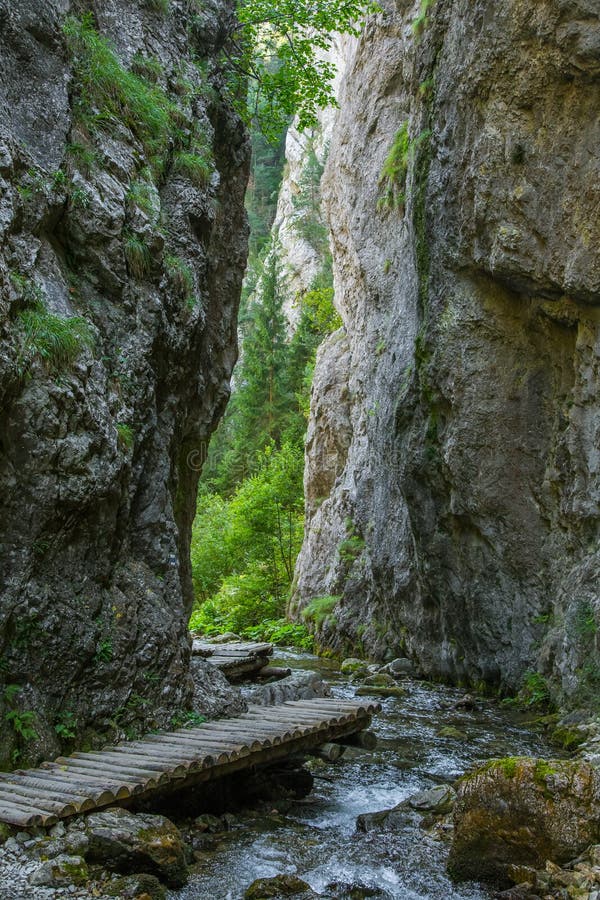 Krásná turistická stezka v regionu Nízké Tatry na Slovensku. Pěší cesta v horách a lese.