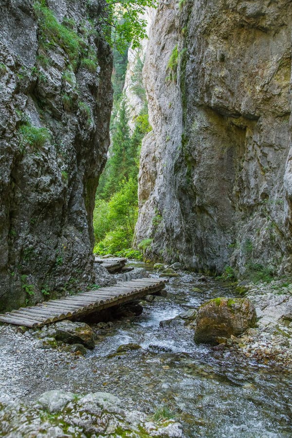 Krásná turistická stezka v regionu Nízké Tatry na Slovensku. Pěší cesta v horách a lese.