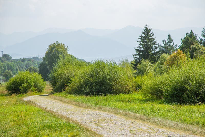 A beautiful hiking trail in Low Tatra region in Slovakia. Walking path in mountains and forest.