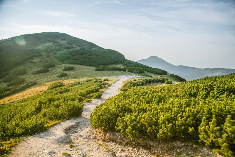 Krásná turistická stezka v horách. Horská krajina v Tatrách, Slovensko.