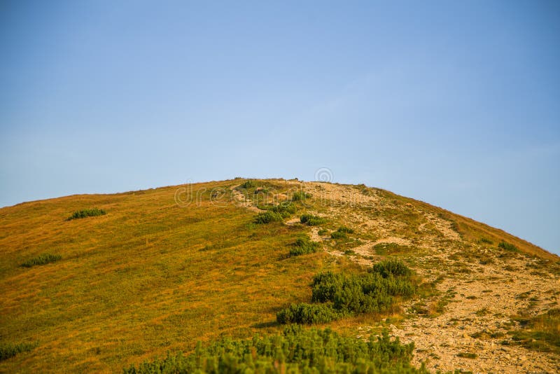 Krásná turistická stezka v horách. Horská krajina v Tatrách, Slovensko.