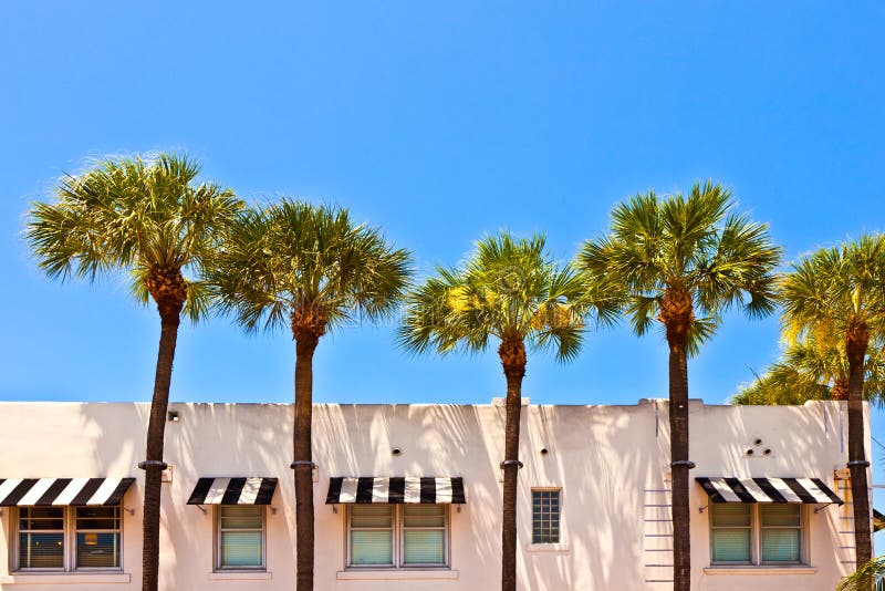 Beautiful historic buildings with palms