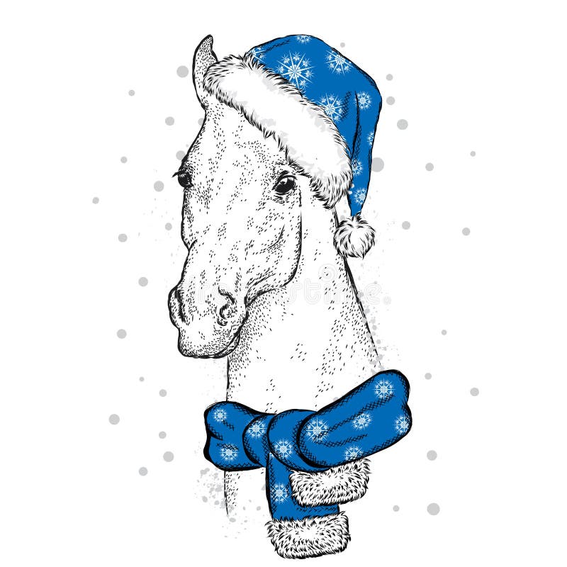 Beautiful horse in a Christmas hat and scarf. Santa Claus. New Year`s and Christmas.