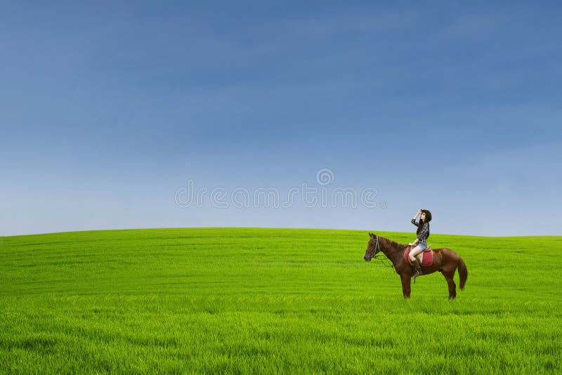 Beautiful horse rider at green field