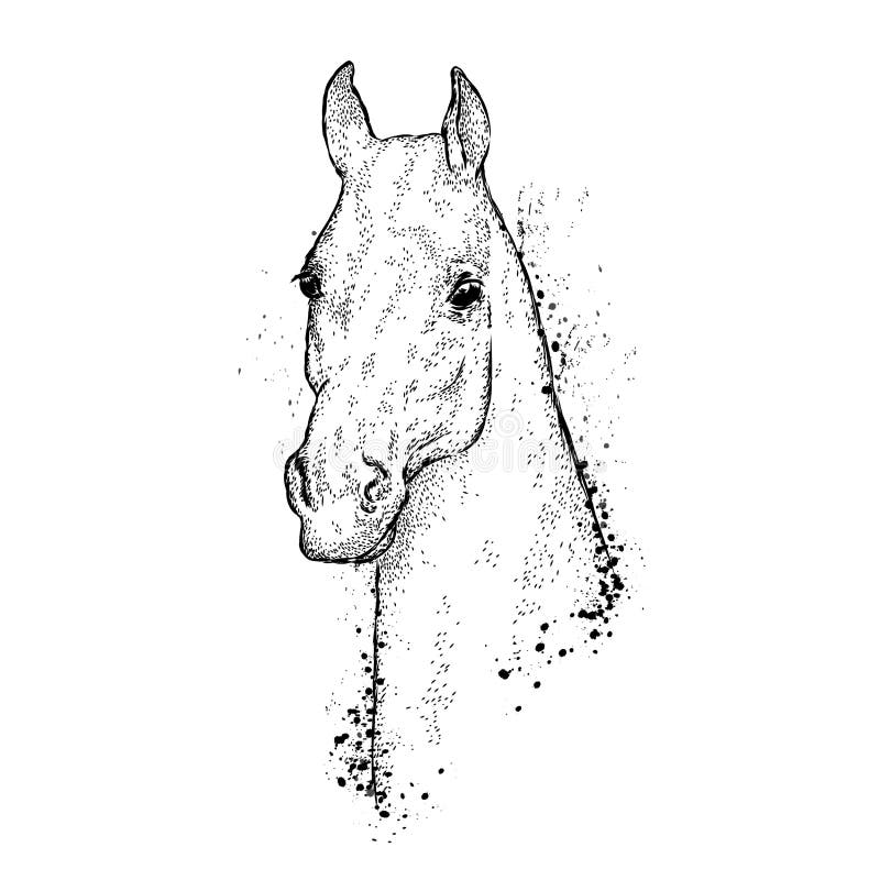 Beautiful horse. Vector illustration for greeting card, poster, or print on clothes.