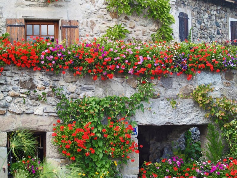 Hermoso flores en (,  Saboya Alpes), Ginebra, Francia.