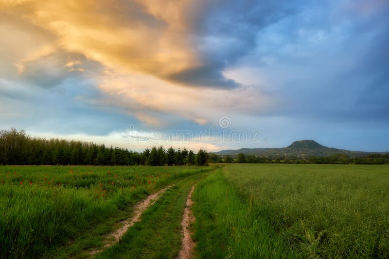 Beautiful hungarian landscape with road at springtime in evening