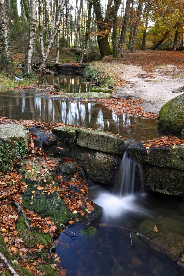 A beautiful image of a national park, where the na