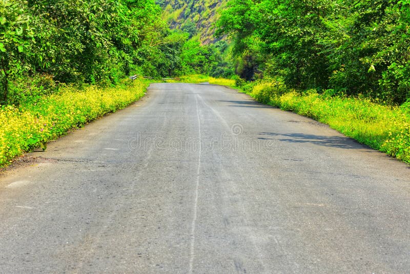 Beautiful Indian Road stock image. Image of indian, india 128384411