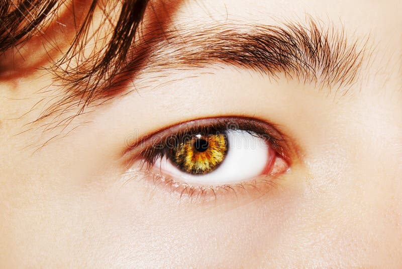 A beautiful insightful look man`s eye. Close up shot.