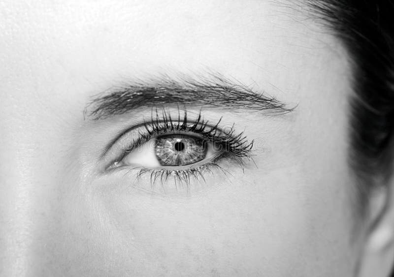 A Beautiful Insightful Look Woman`s Eye. Stock Image - Image of medical ...