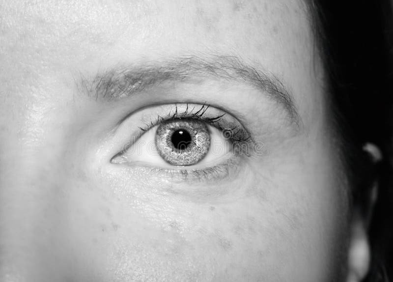 A Beautiful Insightful Look Woman`s Eye. Stock Image - Image of myopia ...