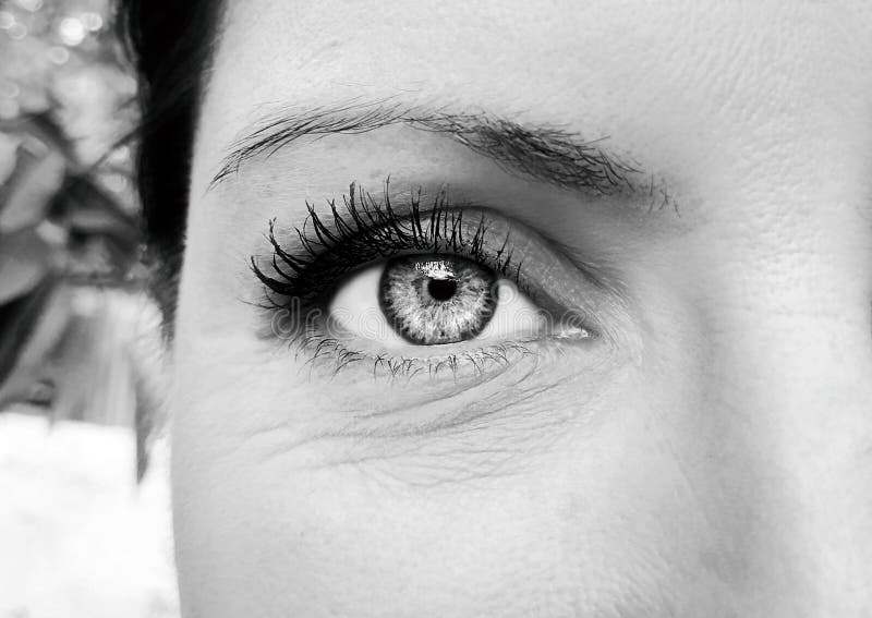 A Beautiful Insightful Look Woman`s Eye. Close Up Shot. Stock Photo ...