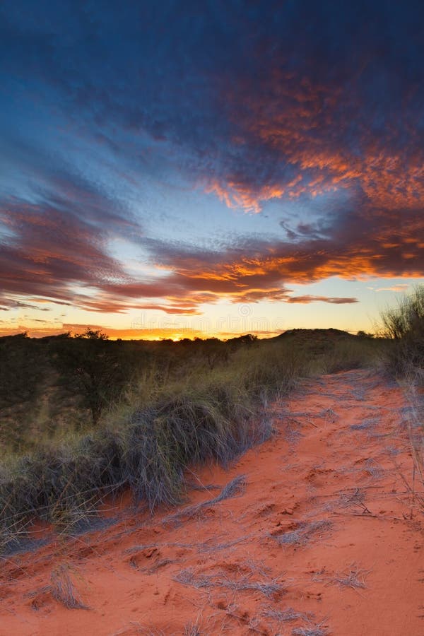 Beautiful Kalahari Sunset with Dramatic Clouds and Grass Stock Image Image of landscape