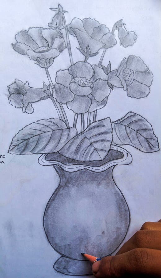 Beautiful Kids Pencil Sketch or Shading of Flower Pot Stock Image ...