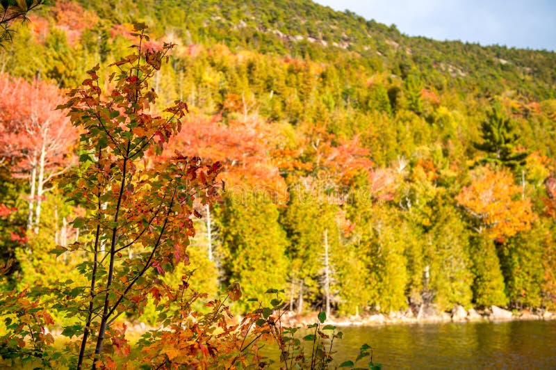 Beautiful Lake in Acadia National Park Foliage Season Stock Photo