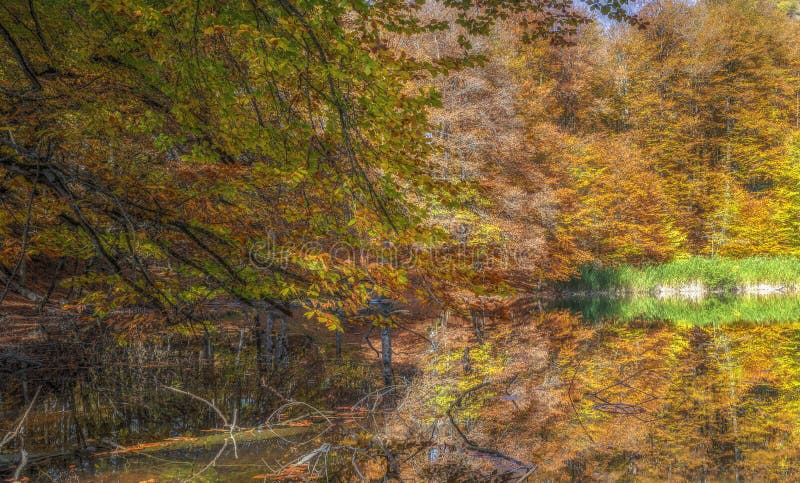 Beautiful lake in the autumn high in the mountains