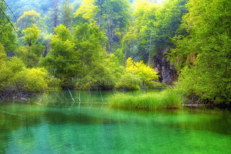 Beautiful lake in spring time royalty free stock image Beautiful lake in spring time royalty free stock image