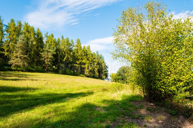 Beautiful land in summer sunny day