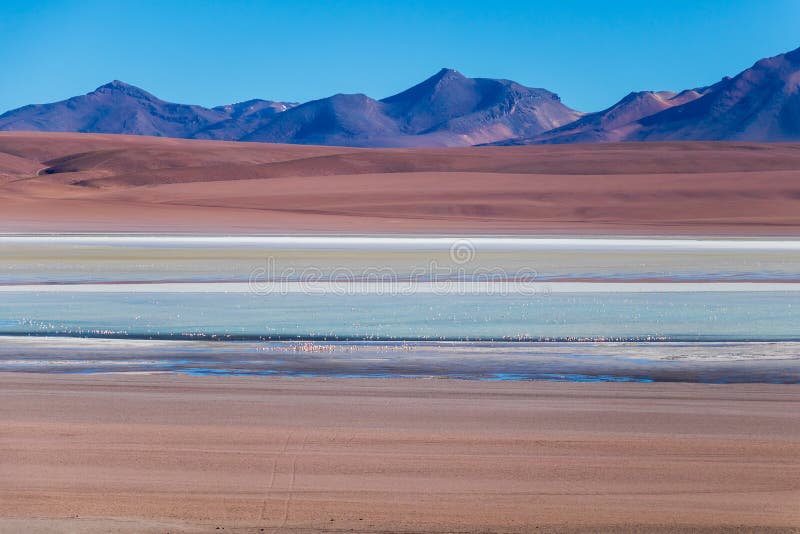 Beautiful background with Altiplanic Lagoon, a shallow saline lake and blue sky