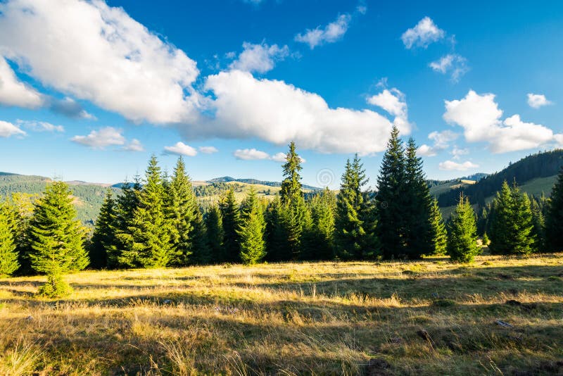 Beautiful landscape of Apuseni mountains in autumn