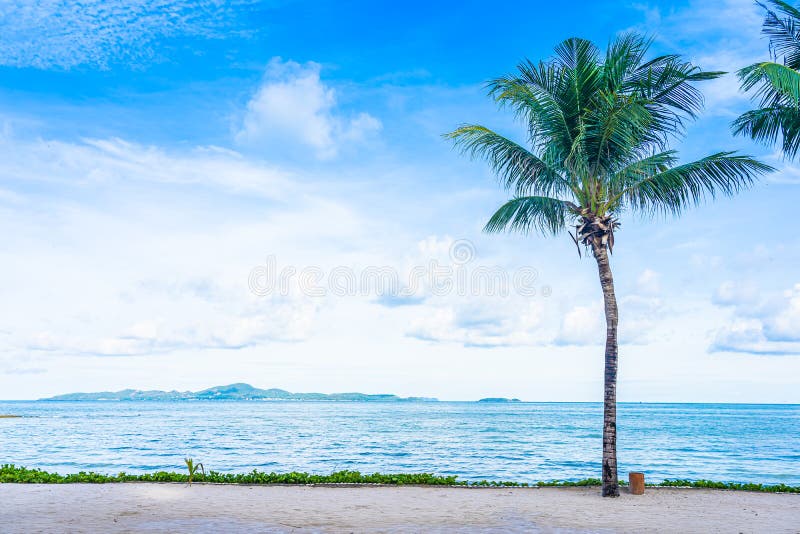 Beautiful Landscape Of Beach Sea Ocean With Coconut Palm Tree With